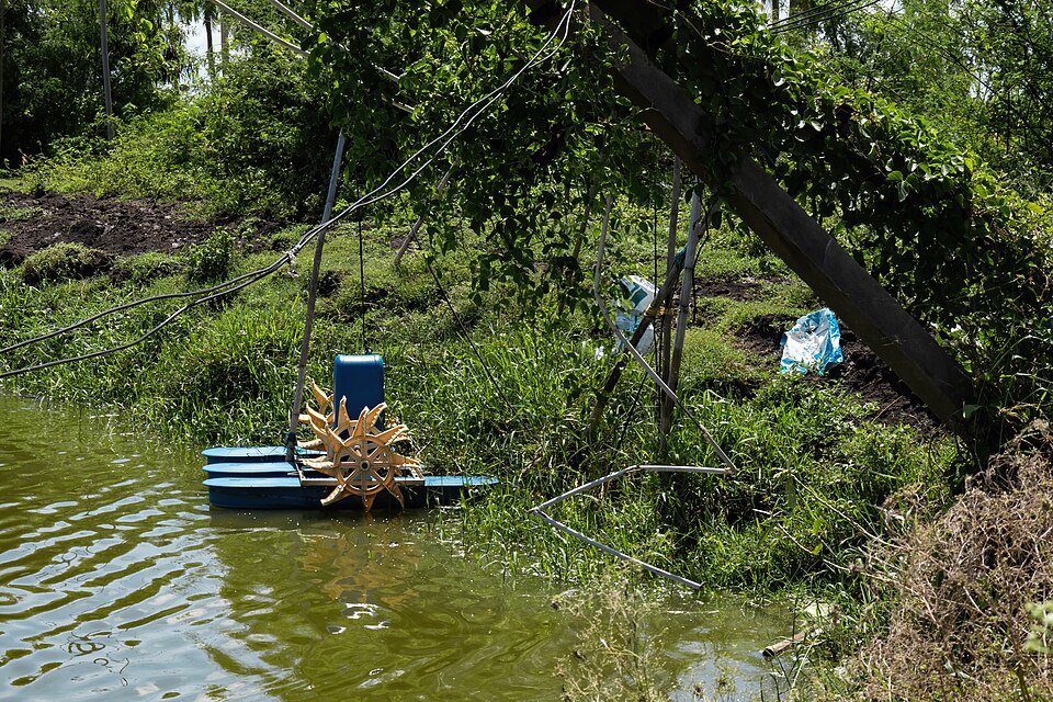 Aquaculture wastewater reuse for horticulture (integrated farming)