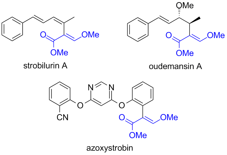Azoxystrobin + difenoconazole (Amistar Top)