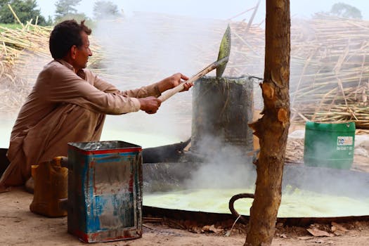 Bagasse as Boiling Fuel