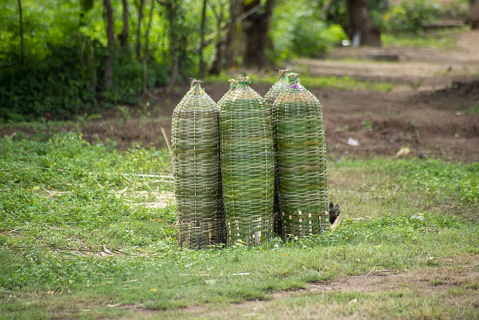 Bamboo fish traps (paraka, sleeve, basket traps)