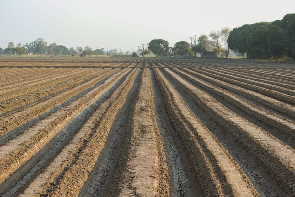 Broad bed and furrow (BBF) system