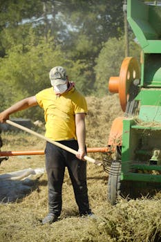 Electric Chaff Cutter