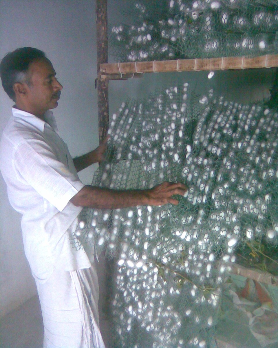 Chandrika and plastic mountages