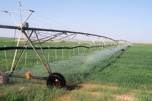 20-20-0-13 (Ammonium Phosphate Sulphate)