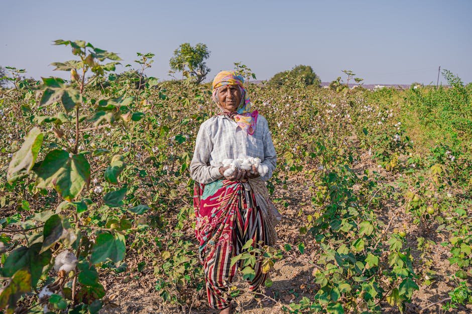 Better Cotton Initiative (BCI) in India