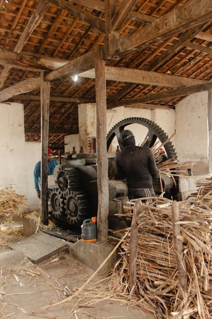 Ethanol Blending Programme EBP sugarcane E20