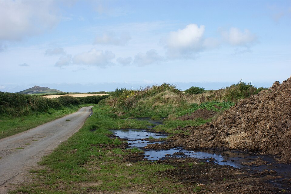 Farmyard Manure (FYM) and Cow Dung