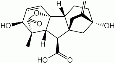 Gibberellic acid (GA3) foliar use