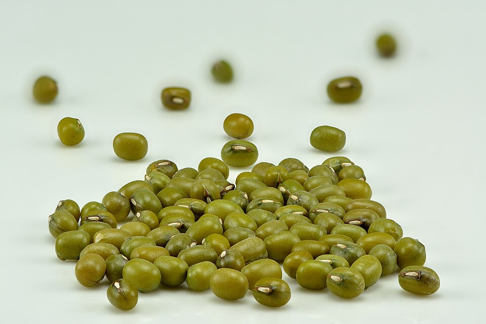 Green gram (Vigna radiata)