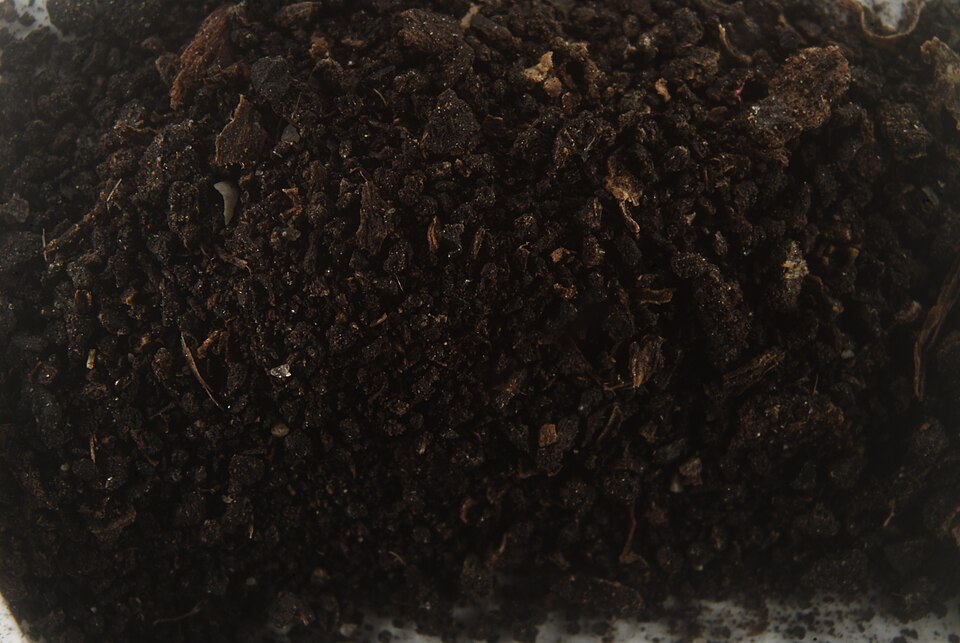 Humic acid (Humic 99 / potassium humate) in paddy