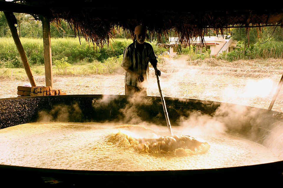 Jaggery (Bellam) Making