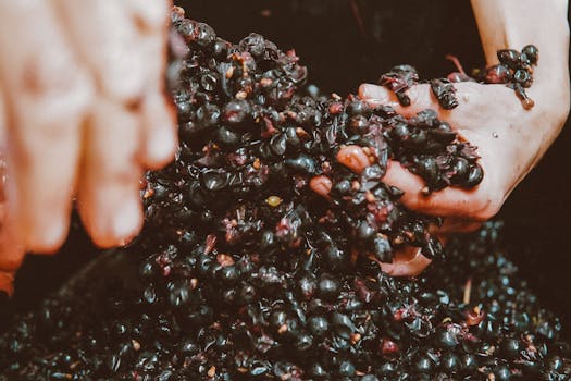 Jamun juice processing (no-additive bottling)