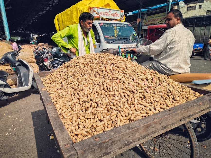 Kadiri groundnut mandi
