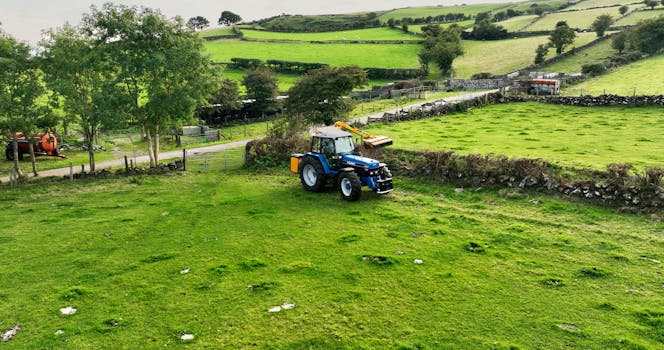 Battery-powered litter raking machine
