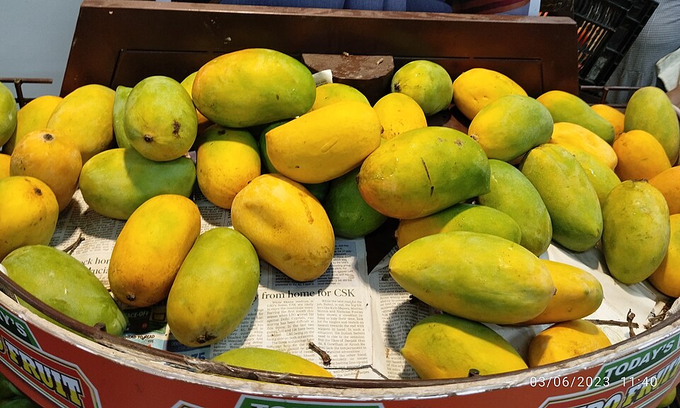 Kesar mango