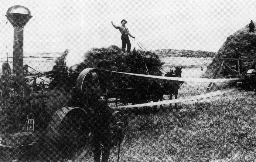 Multi-Crop Thresher