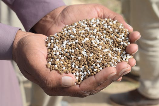 Multi-Nutrient Fertilizer Blends (Gromor F20, Paddy King)