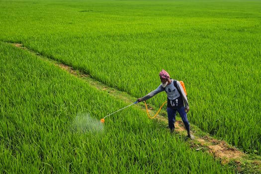 Nano Urea