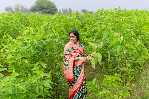 Gromor Bhoo Aushadh organic potash