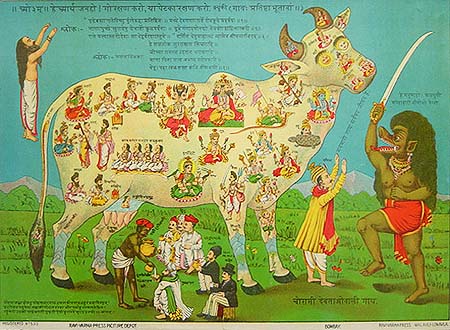 Panchagavya