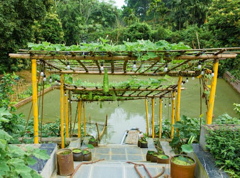 Pandal / pergola construction for climber vegetables