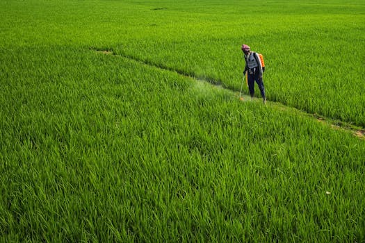 Pendimethalin pre-emergence herbicide