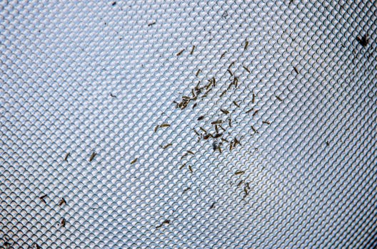 Pheromone traps for lepidopteran monitoring
