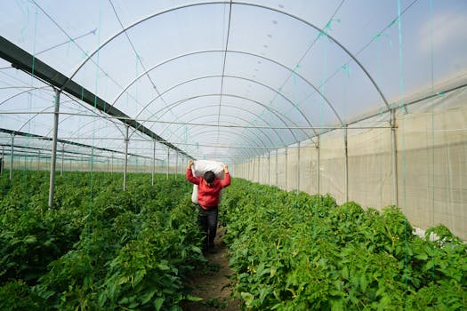 Polyhouse / shade-net protected vegetable cultivation