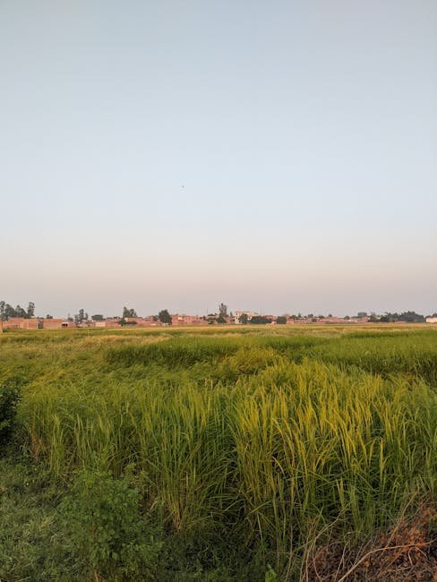 Rythu Bharosa Kendra (RBK) - Anantapur