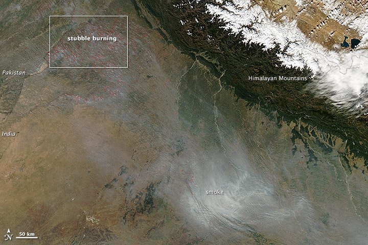 Rice stubble burning (Punjab and Haryana)