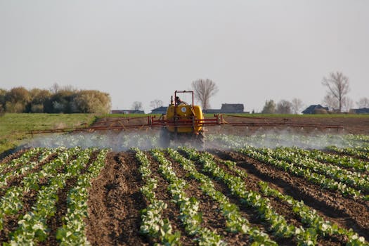 Silicon Fertilizers and Spreaders