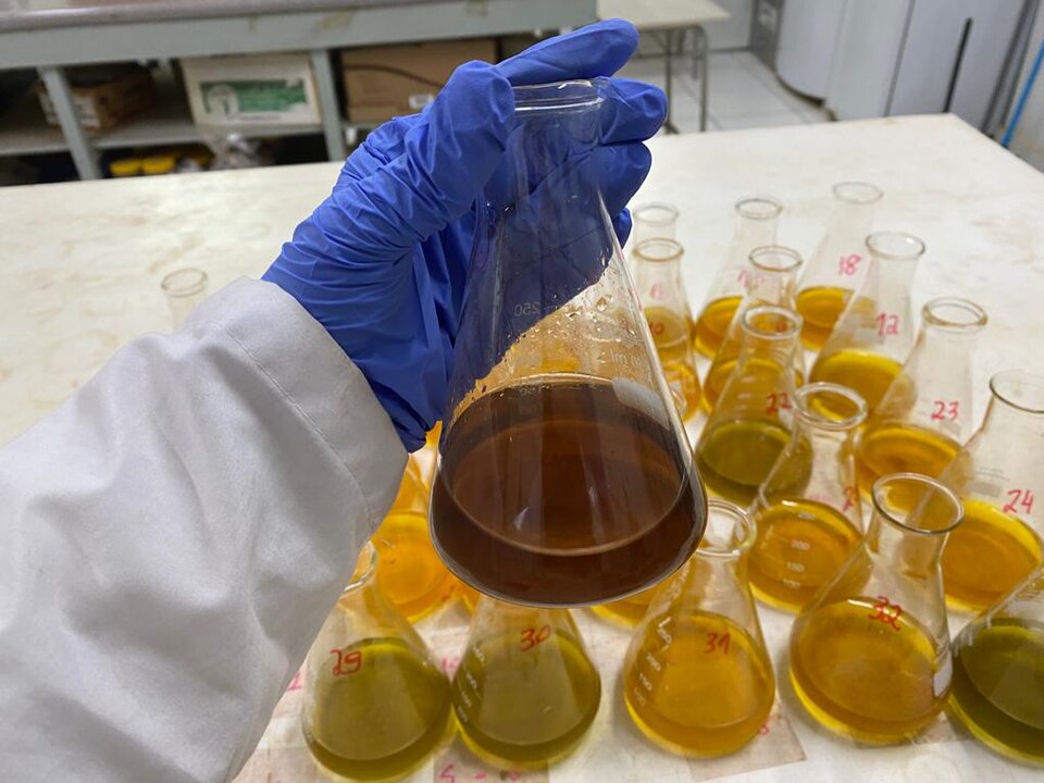 Soil Testing (NPK, pH, EC, OC)