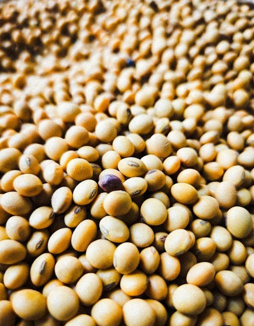 Soybean MSP procurement MP