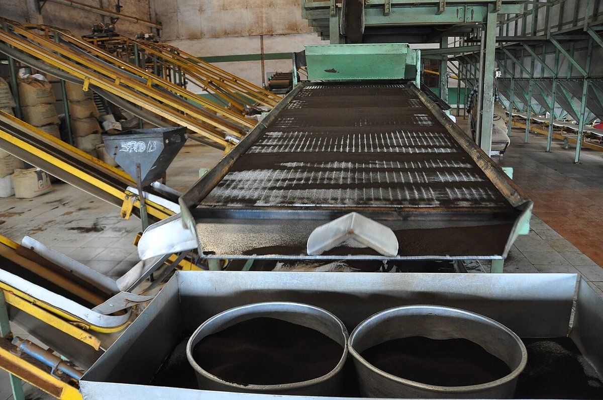 CTC (Cut-Tear-Curl) tea manufacture